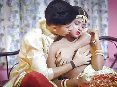 Hindi sex video